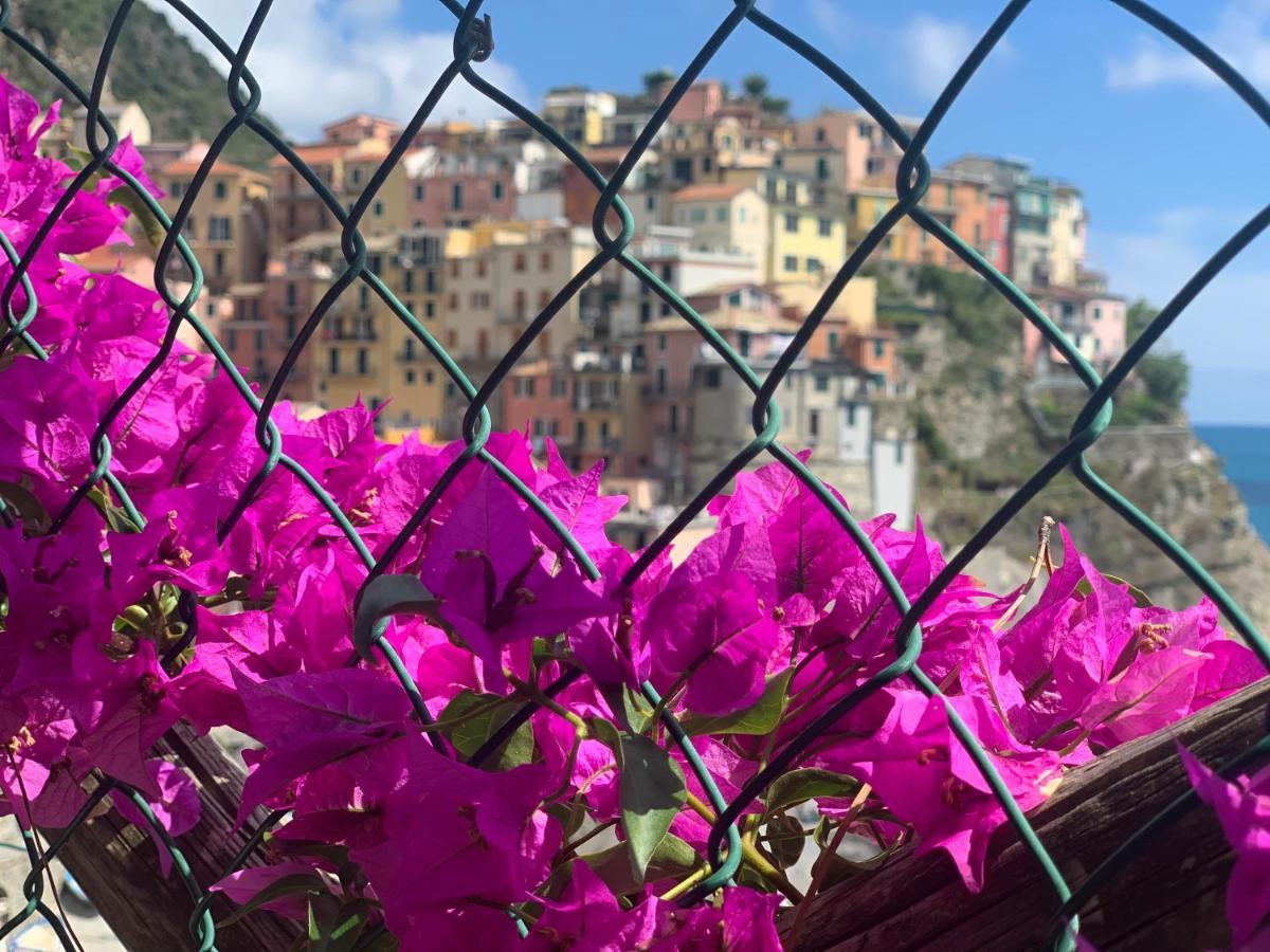 Affittacamere San Giorgio Manarola Buitenkant foto